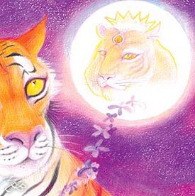 Tiger and the Moon – details